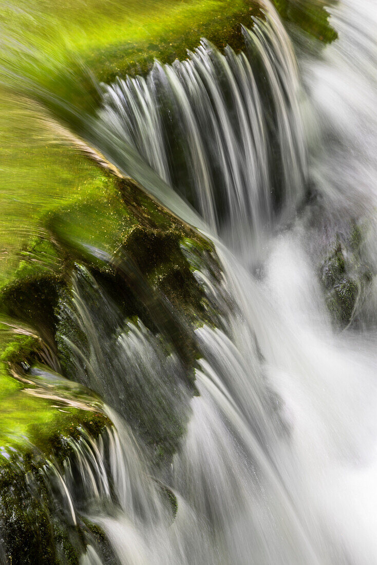 Mountain stream cascading over rocks, Great Smoky Mountains National Park, Tennessee