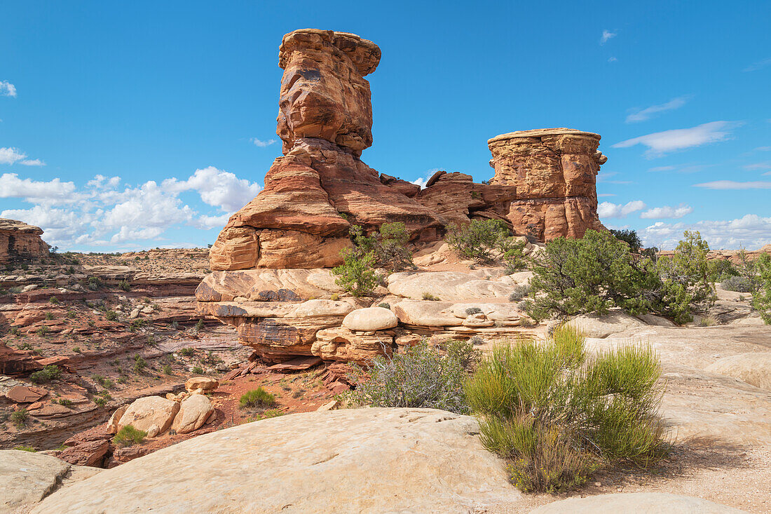 Big Spring Canyon im Needles District, Canyonlands National Park, Utah.