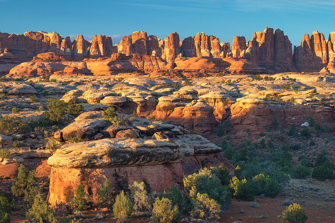 Die Needles, Canyonlands-Nationalpark, Utah.