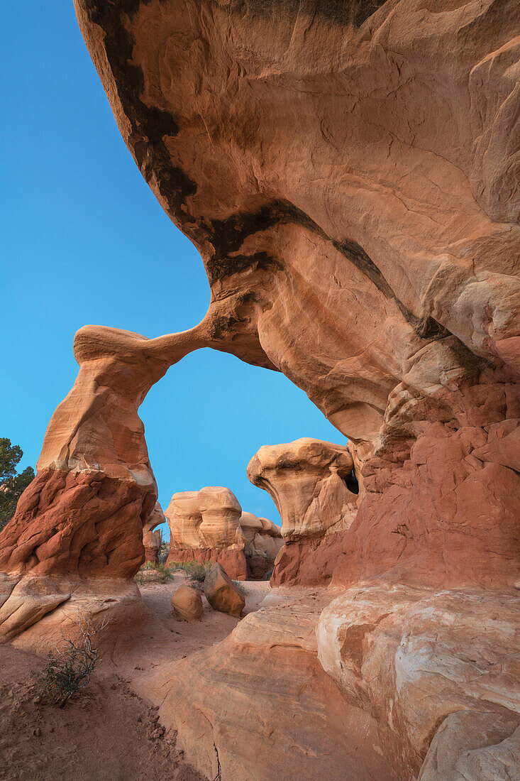 Metate Arch im Devils Garden, Grand Staircase-Escalante National Monument, Utah.