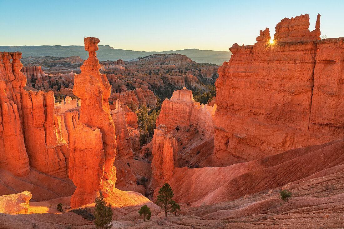 Sonnenaufgangsansicht von Thor's Hammer und bunten Hoodoos von unterhalb des Canyonrands am Sunrise Point, Bryce Canyon National Park, Utah.