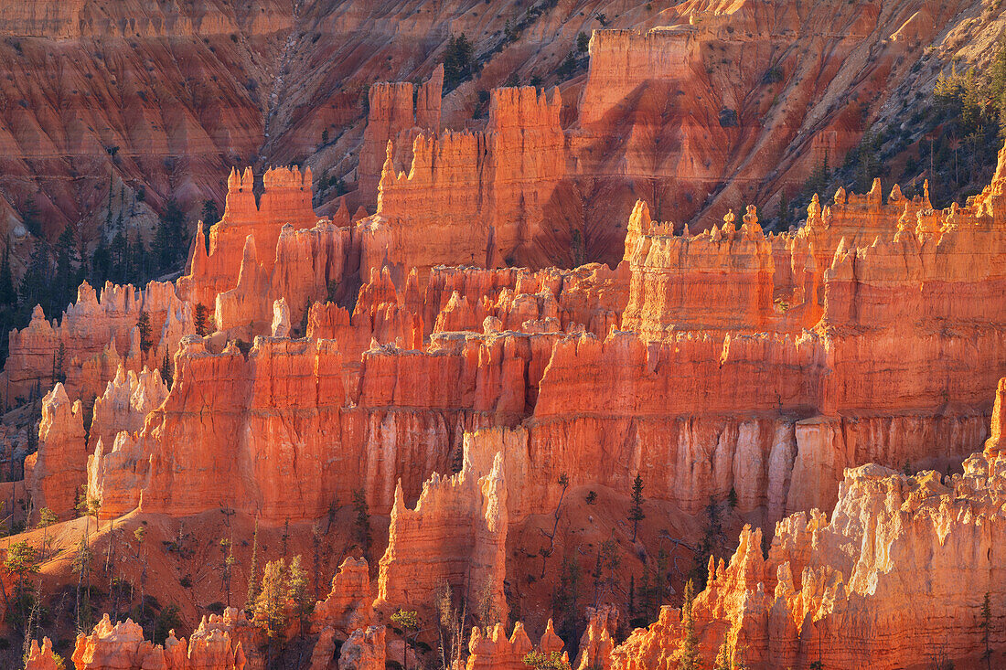 Farbenfrohe Hoodoos leuchten im Morgenlicht, gesehen vom Sunrise Point, Bryce Canyon National Park, Utah.