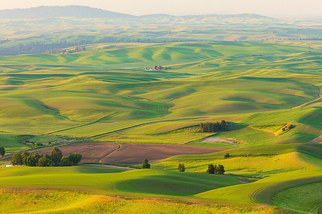 USA, Washington State, Palouse, Colfax. View from Steptoe Butte.