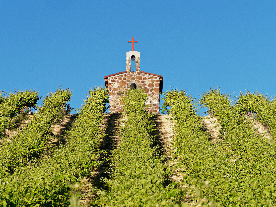 Red Willow Vineyards with stone chapel. (PR)