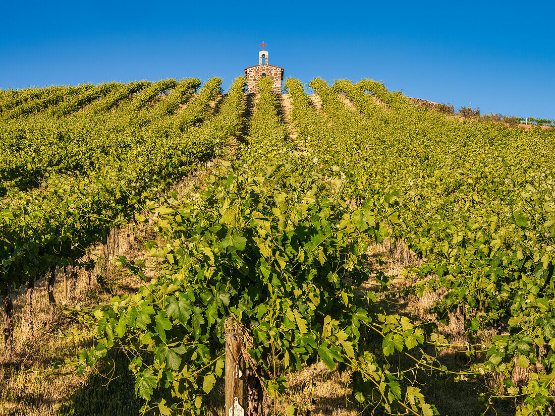 Red Willow Vineyards mit Steinkapelle. (PR)