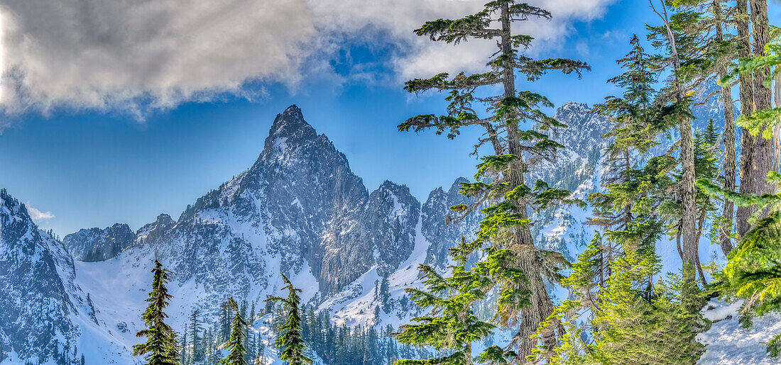 USA, Bundesstaat Washington, Alpine Lakes Wilderness. Panoramablick auf Kaleetan Peak und alpine Tannen