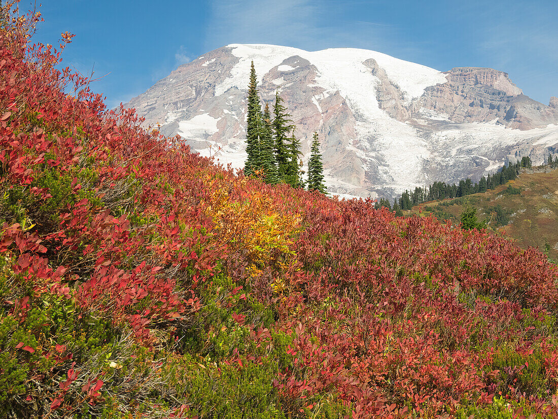 USA, Bundesstaat Washington, Mount Rainier National Park. Herbstfarben und schneebedeckter Mount Rainier