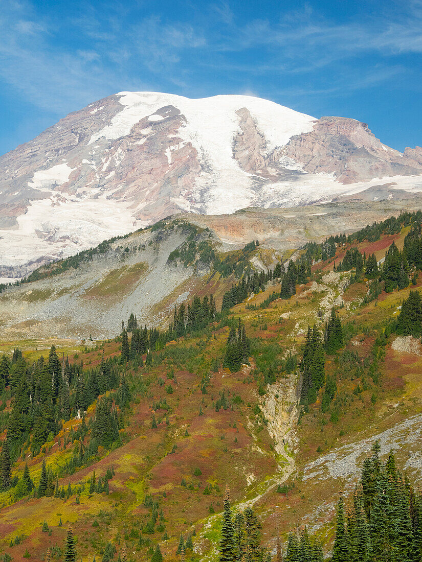 USA, Washington State, Mount Rainier National Park. Mount Rainier and fall color, view from Skyline Trail