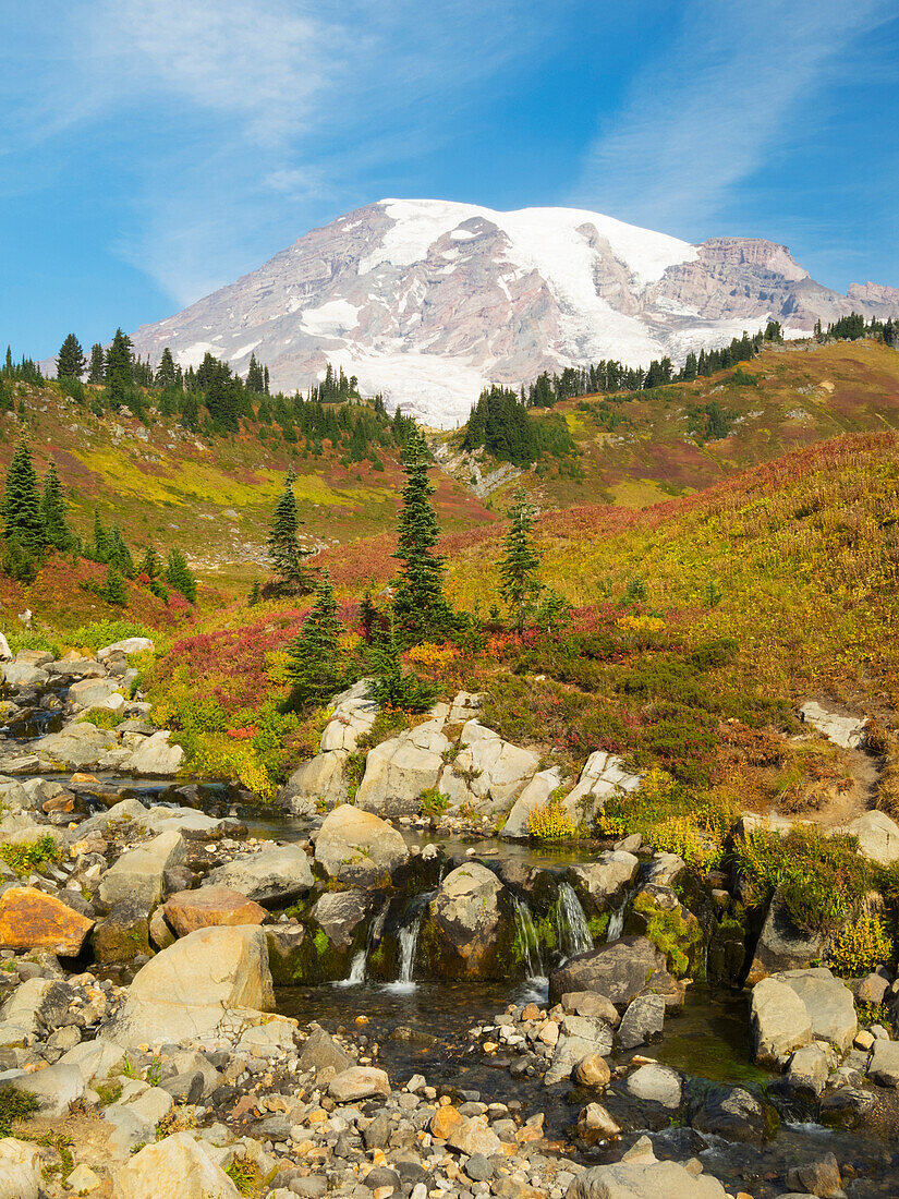 USA, Washington State, Mount Rainier National Park. Mount Rainier and fall color, with Edith Creek