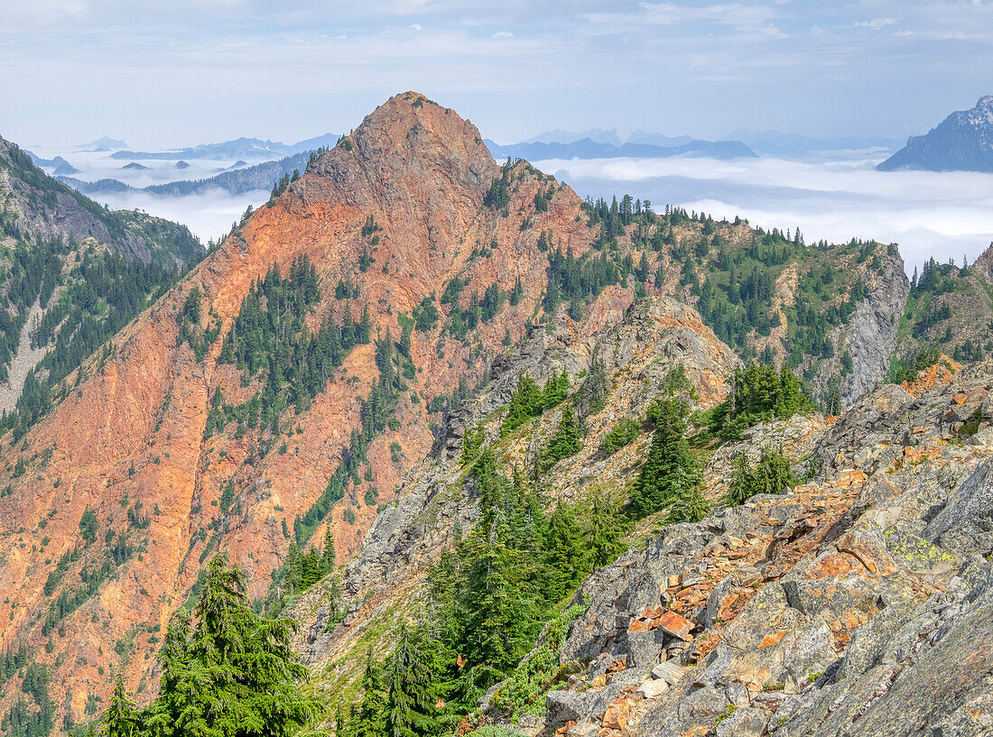 USA, Bundesstaat Washington. Central Cascades, Red Mountain und alpine Tannen