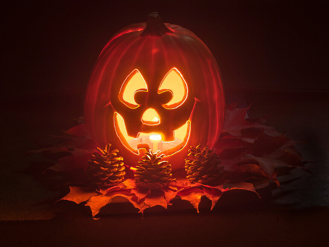 USA, Washington State. Smiling Jack O Lantern face on Pumpkin at Halloween