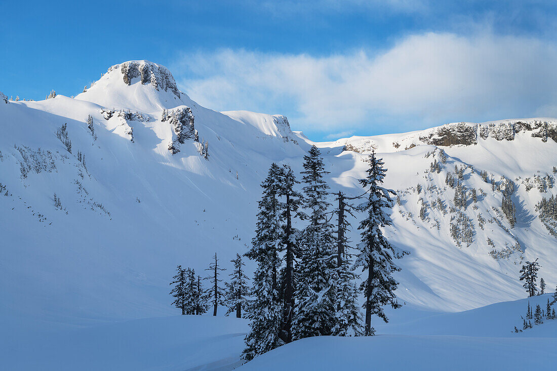 Table Mountain in winter. Heather Meadows, Mt. Baker-Snoqualmie National Forest, North Cascades, Washington State