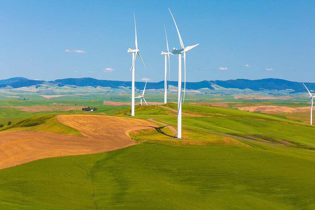 USA, Bundesstaat Washington, Palouse. Oakesdale. Weiße Windräder, Windmühlen.