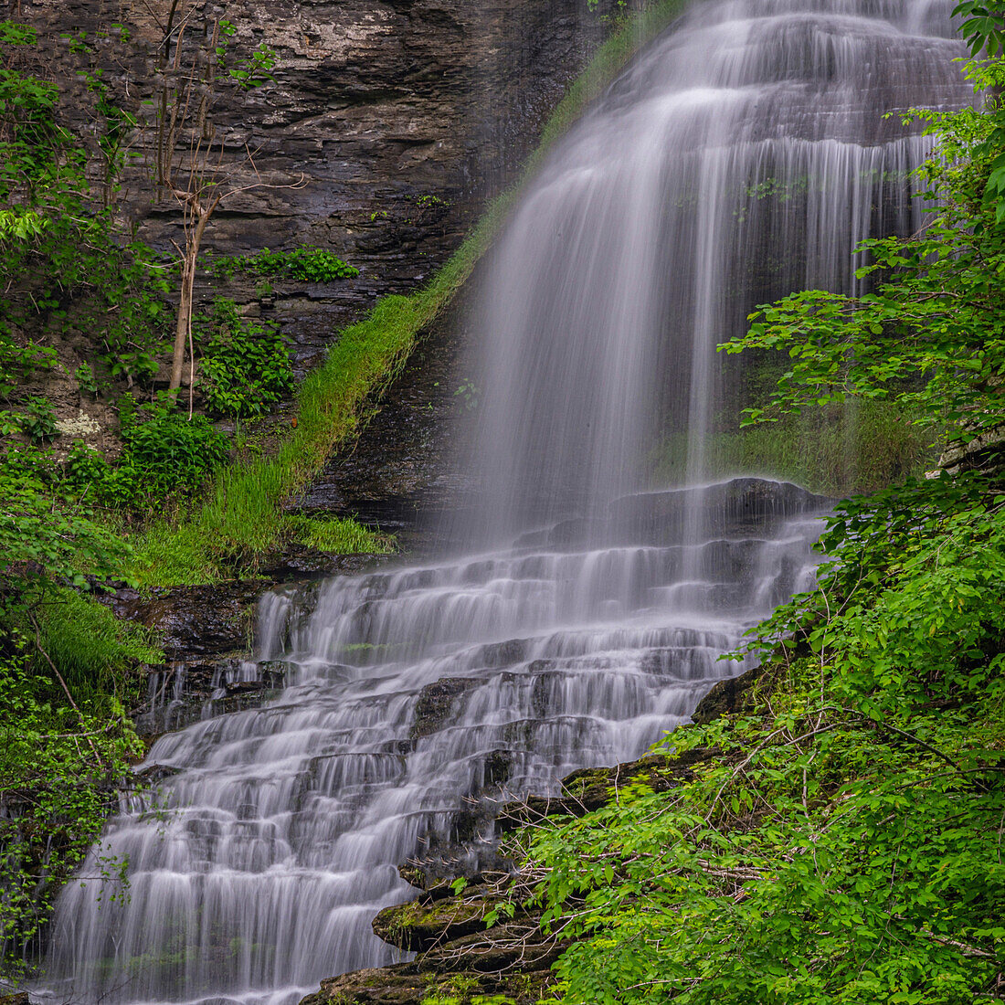 USA, West Virginia, New River Gorge National Park.