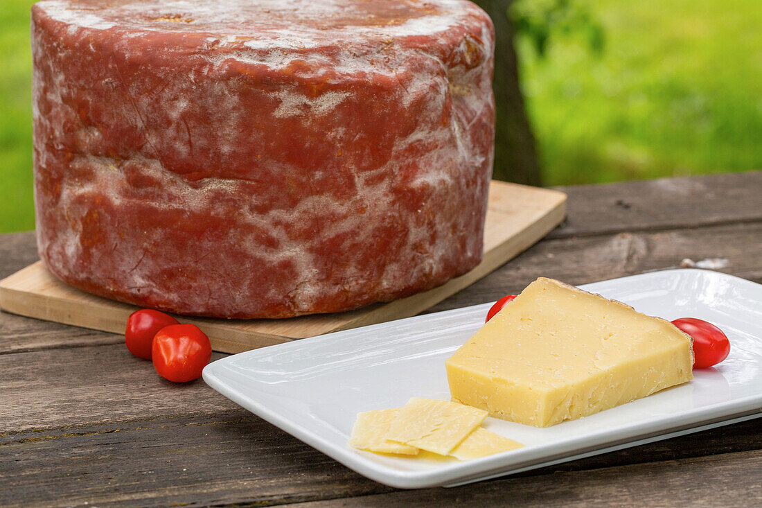 Köstlicher italienischer Pecorino toscano-Käse mit Kirschtomaten auf einem Schneidebrett auf einem Holztisch im Garten