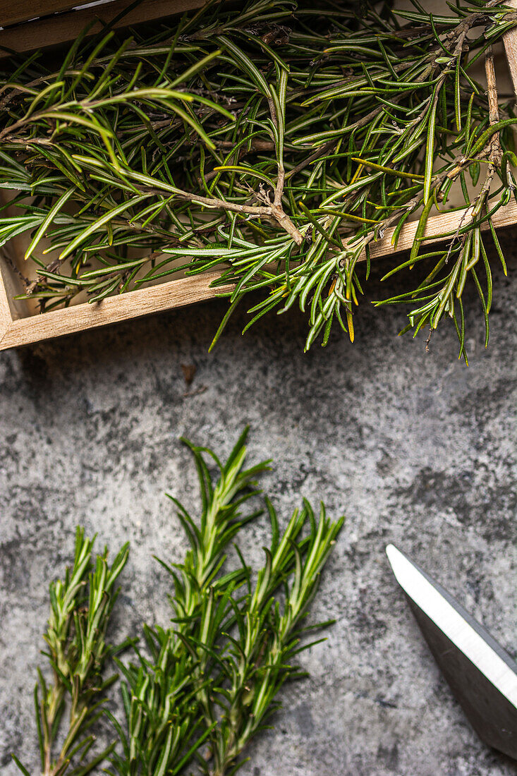 From above of herbs sprigs with green leaves in small wooden chest near scissors on gray surface