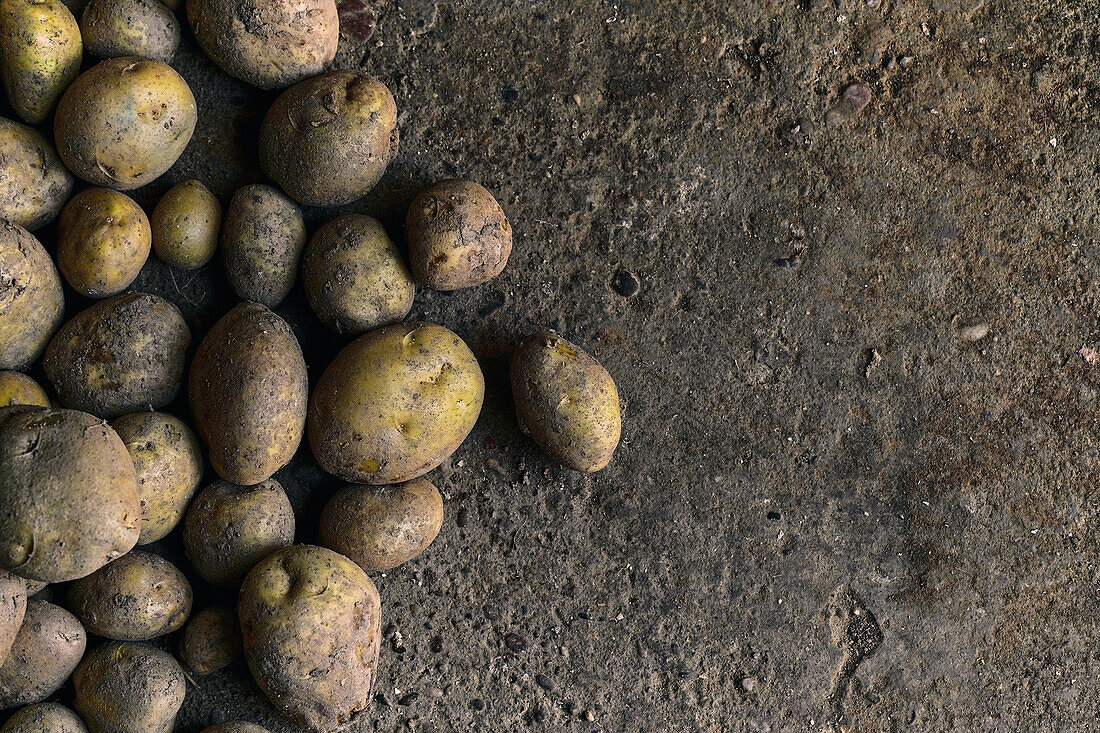 Top view close-up of a pile of potatoes on the ground
