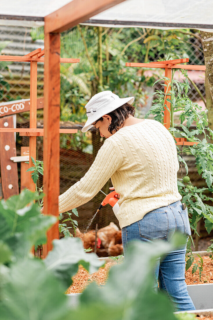 Beschäftigte Gärtnerin mit Hut und Flasche besprüht grüne Pflanzen im Gartenbeet eines Bauernhofs