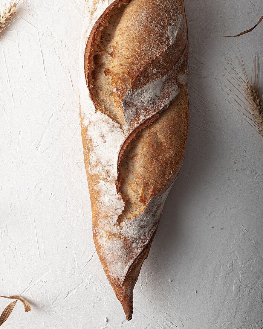 Draufsicht auf ein köstliches, frisch gebackenes, rustikales, handwerklich hergestelltes Baguette auf einer weißen Fläche mit getrockneten Weizenspitzen