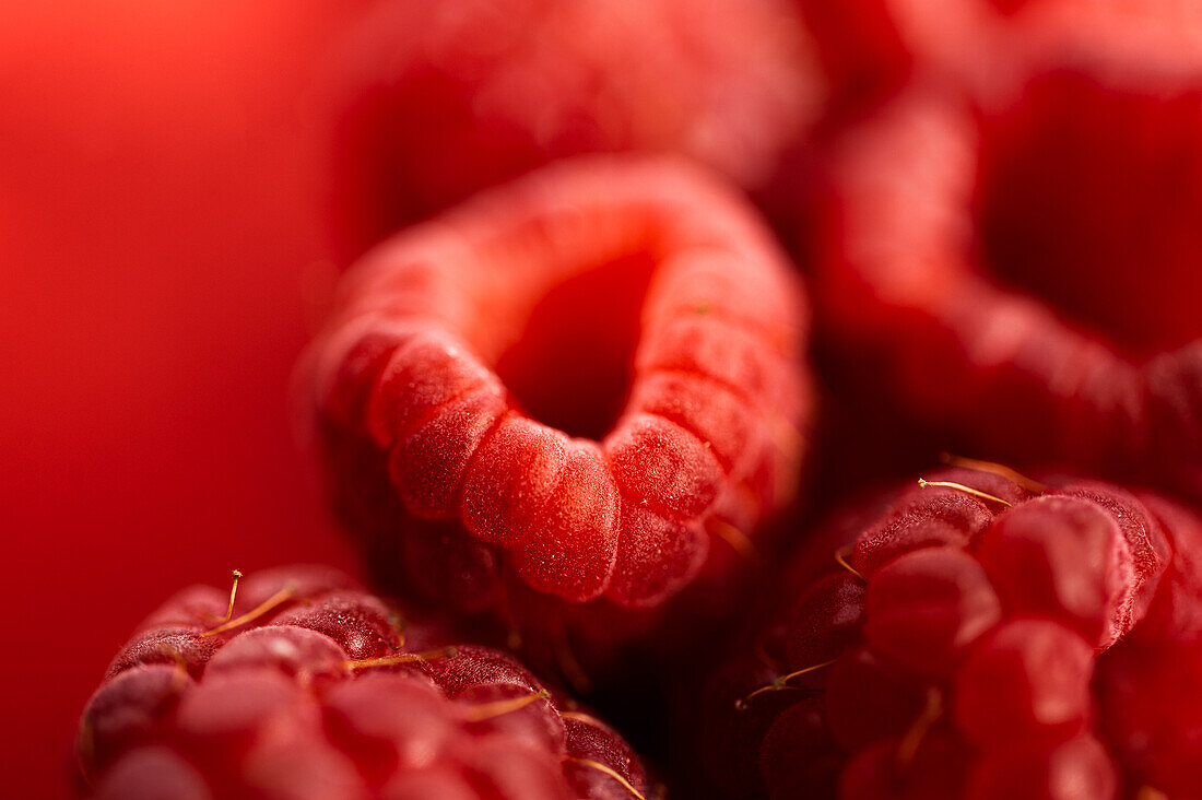 Nahaufnahme einer köstlichen frischen süßen reifen roten Himbeere