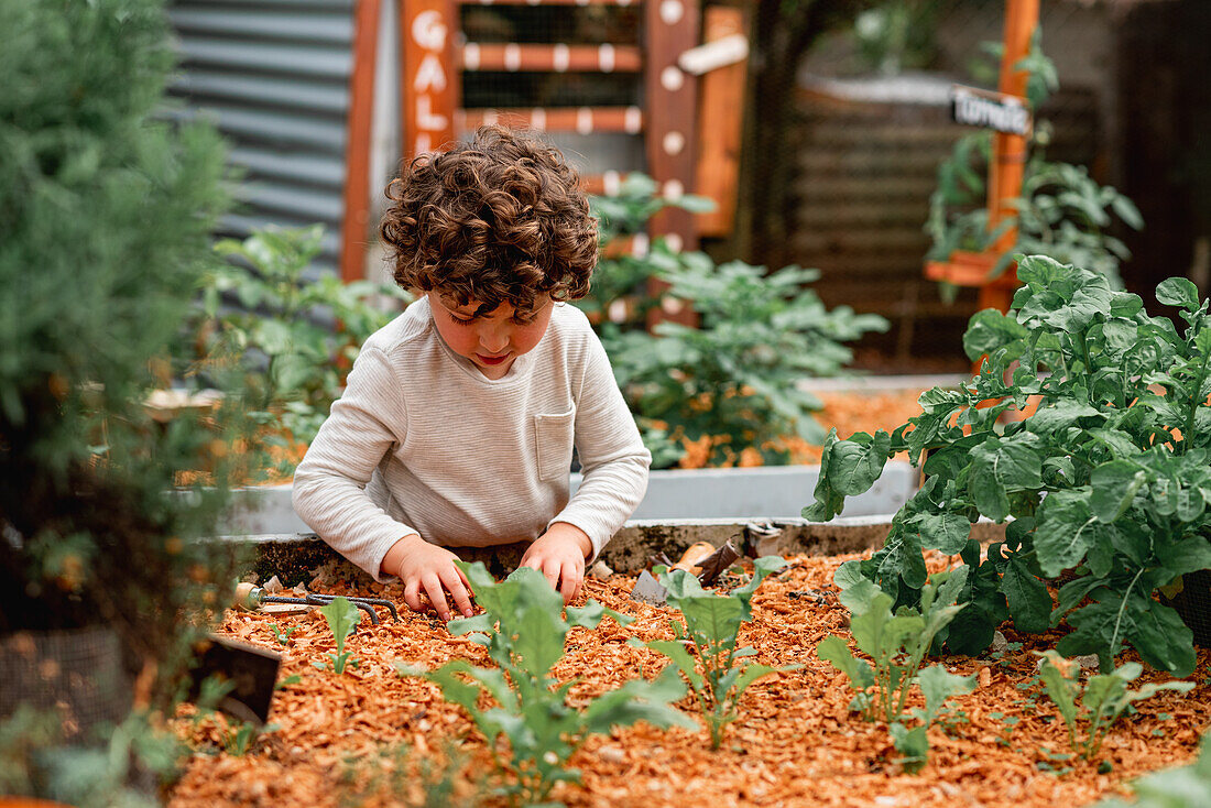 Kleiner, lockig behaarter, neugieriger Junge mit Schaufel, der in der Nähe eines Gartenbeetes steht und beim Pflanzen von Setzlingen hilft