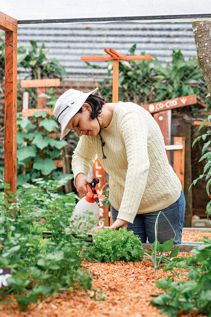 Beschäftigte Gärtnerin mit Hut und Flasche besprüht grüne Pflanzen im Gartenbeet eines Bauernhofs