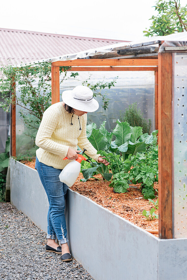 Ganzkörperansicht einer beschäftigten Gärtnerin mit Hut und Flasche, die grüne Pflanzen im Gartenbeet eines Bauernhofs besprüht