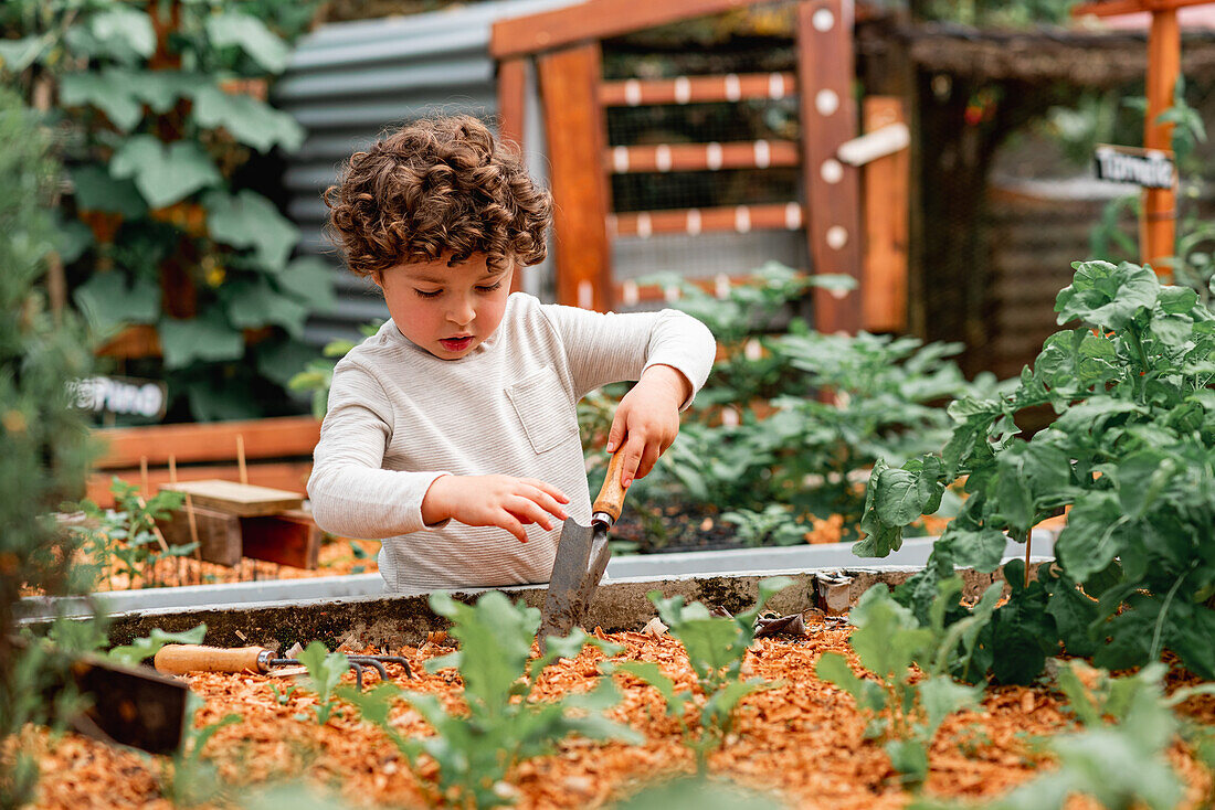 Kleiner, lockig behaarter, neugieriger Junge mit Schaufel, der in der Nähe eines Gartenbeetes steht und beim Pflanzen von Setzlingen hilft