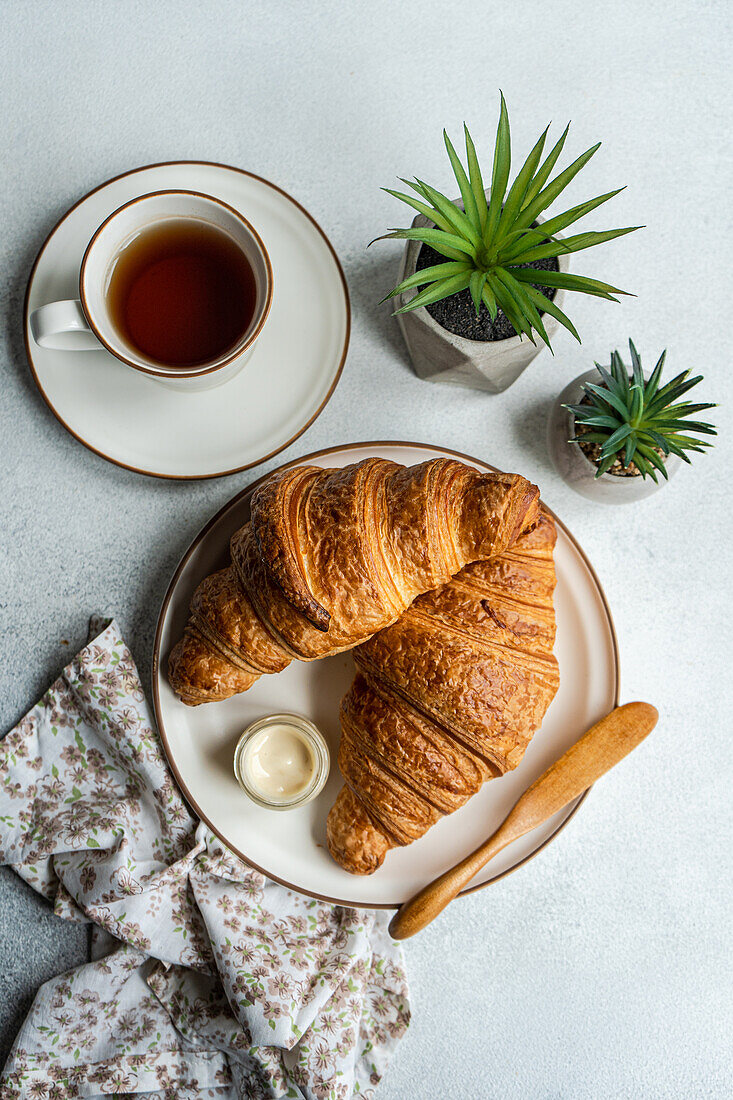 Top view of a breakfast scene with flaky croissants, a jar of honey, a cup of tea, and decorative potted succulents on a textured surface