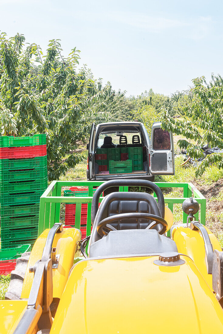 Gelber Traktor und Lieferwagen parken in der Nähe von Kistenstapeln im Garten während der Ernte von reifen frischen Kirschen an einem sonnigen Tag auf dem Lande