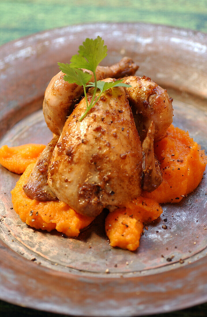 Coriander-crusted poussin on sweet potato puree