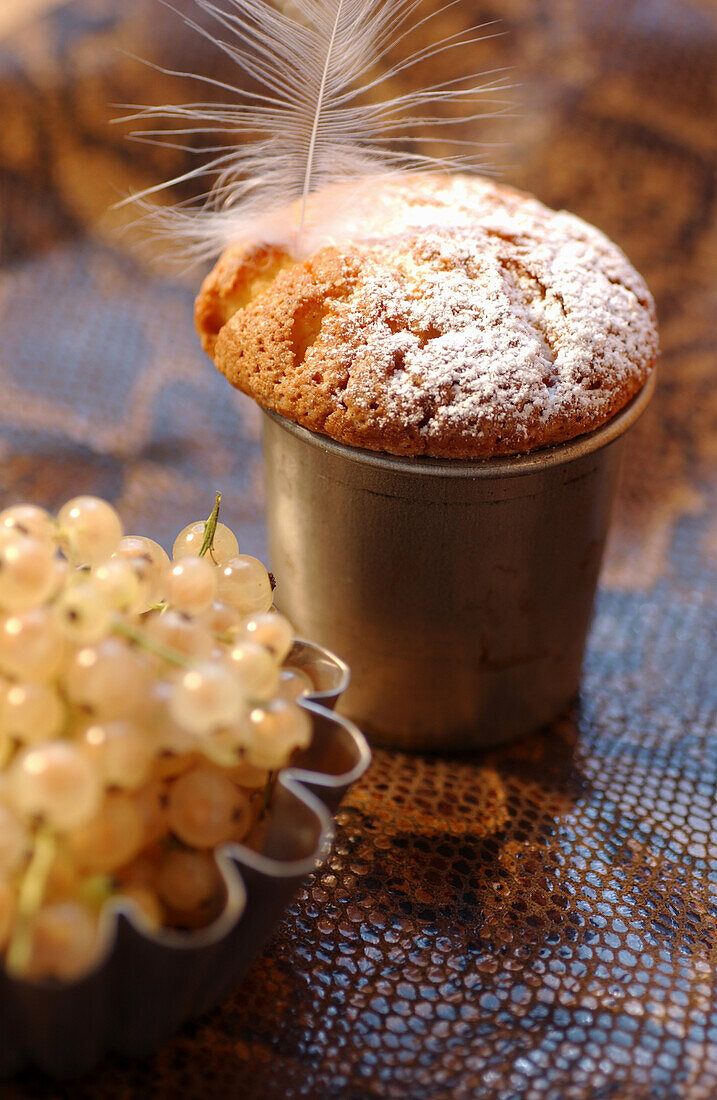 Cup cake with icing sugar