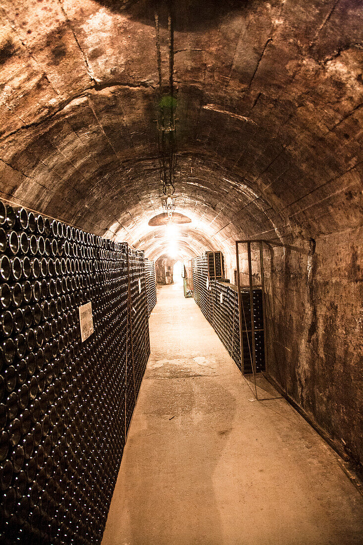 Storage of Spumante bottles in a winery