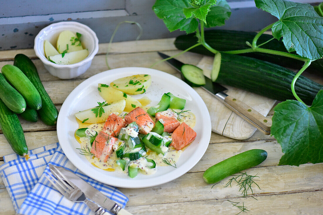 Salmon fillet with cucumber vegetables and dill sauce