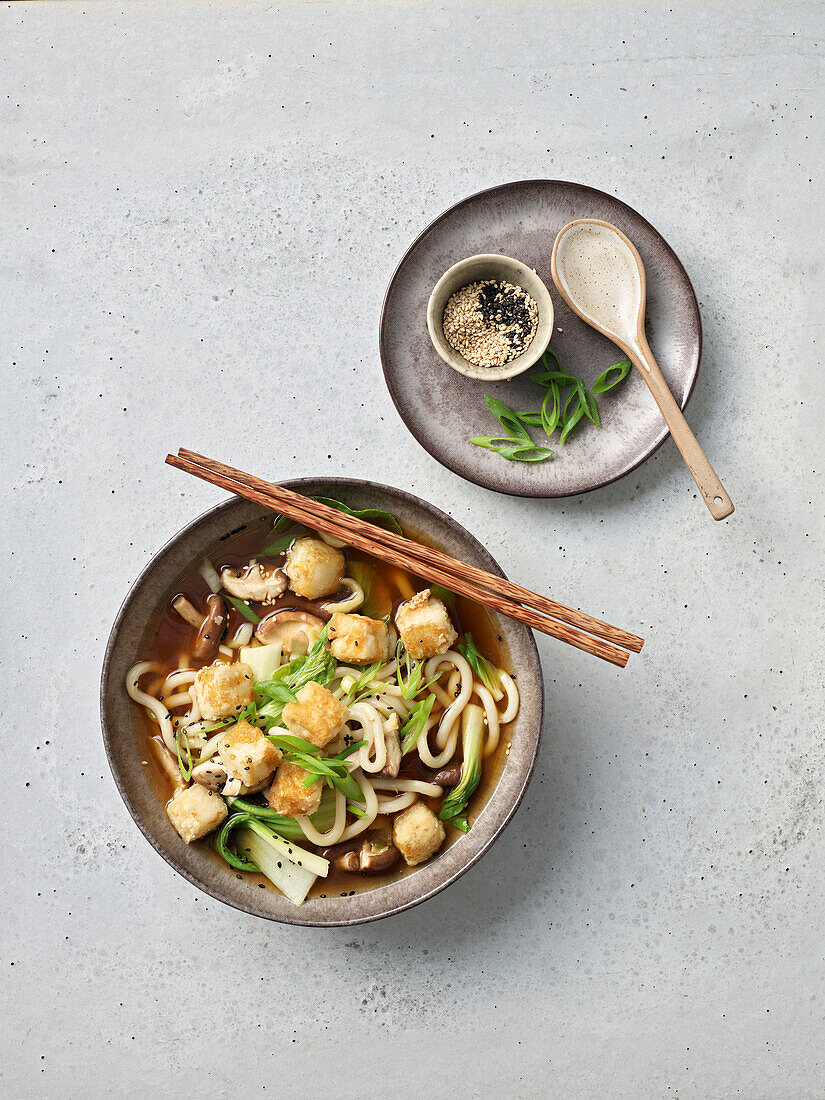 Udon-Nudelsuppe mit Tofu und Gemüse