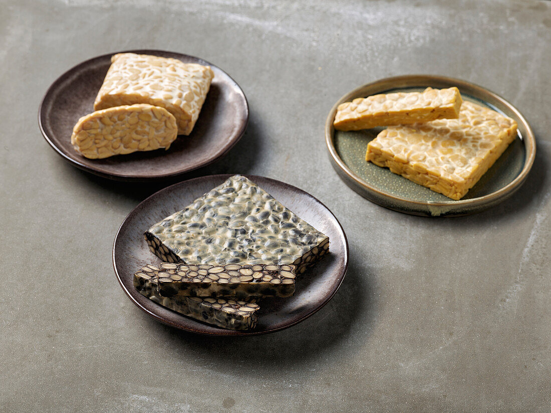 Various types of tempeh