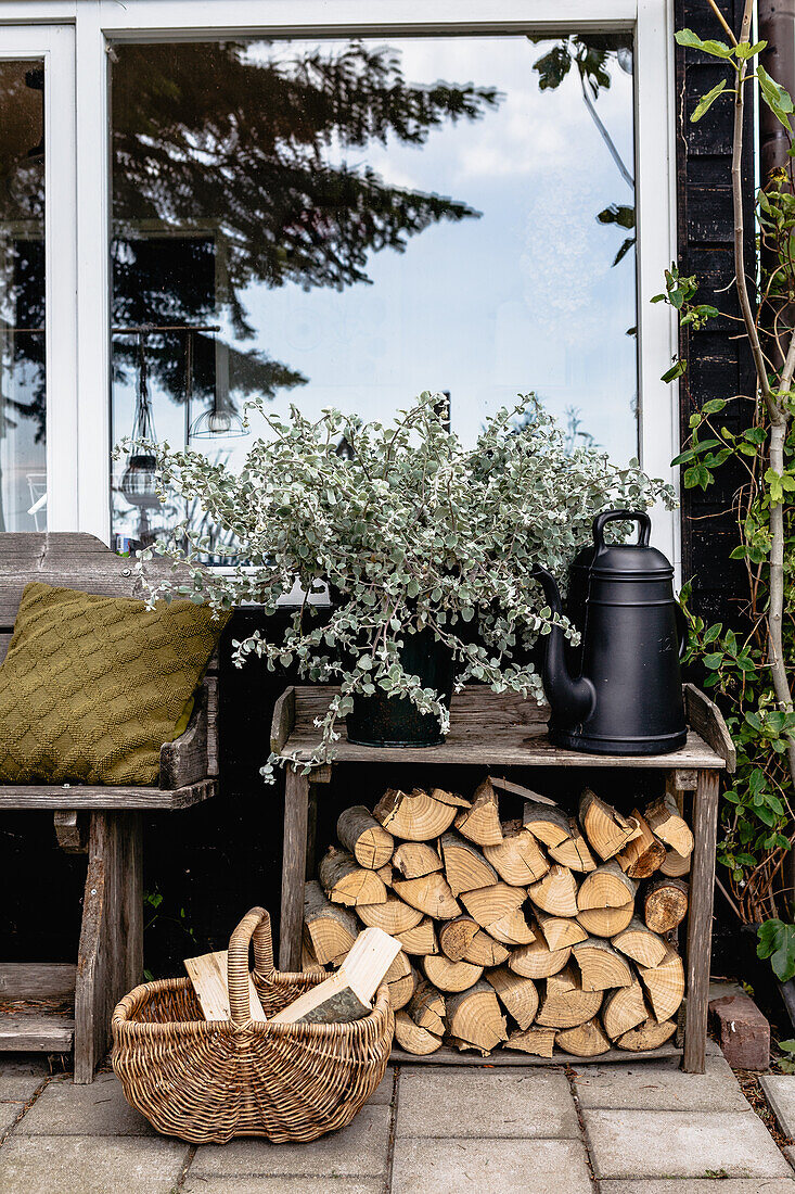 Pile of firewood and plant next to wooden bench on terrace