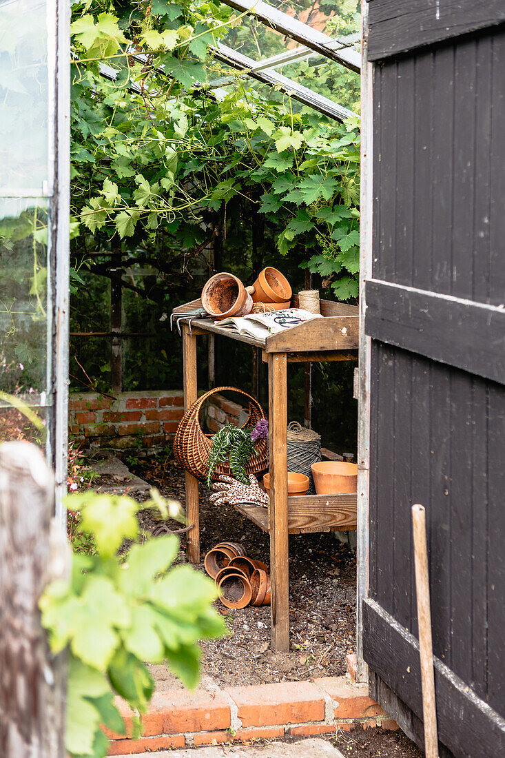 Greenhouse with planting table, pots and vines