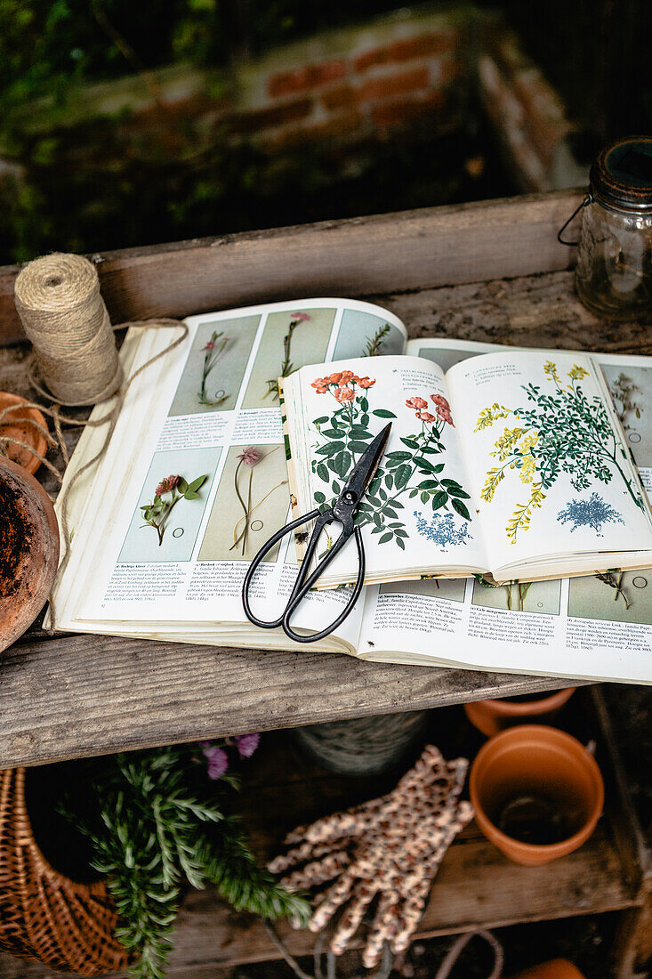 Opened plant identification book and scissors on plant table