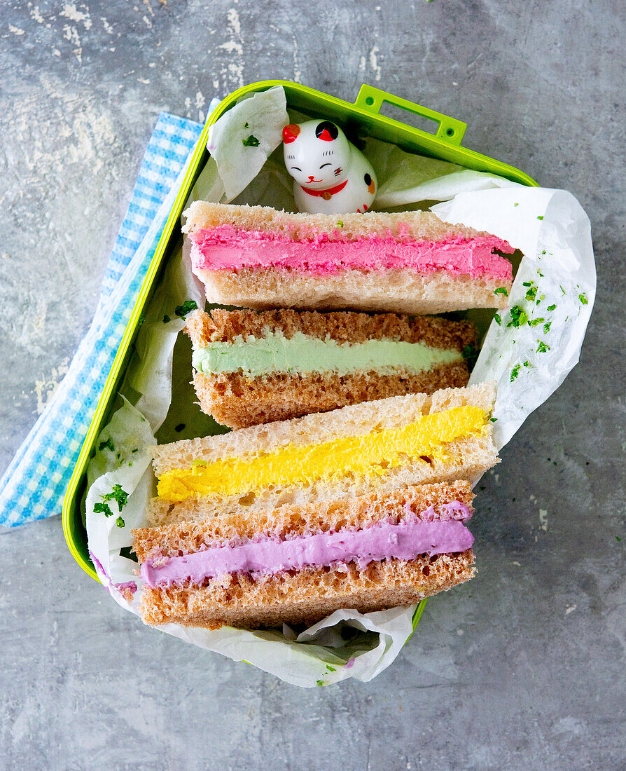 Bunte Sandwiches in Lunchbox mit Gemüsespieß