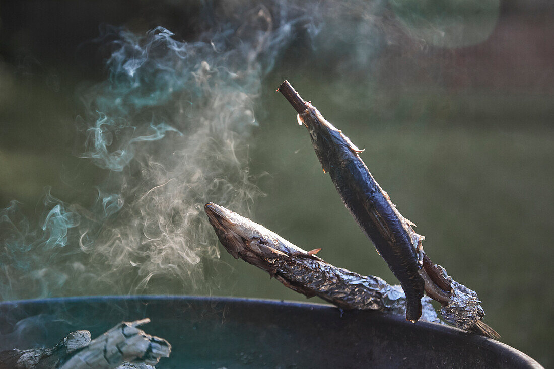 Herring cooked on a stick over an open fire