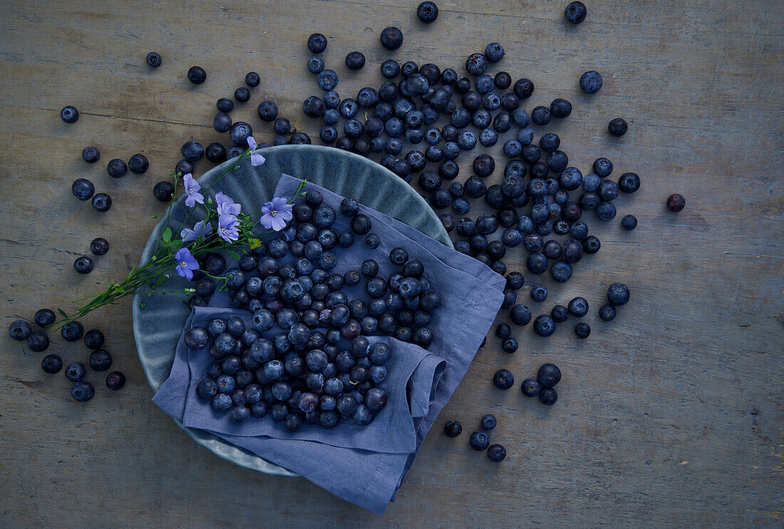 Frische Blaubeeren auf Teller