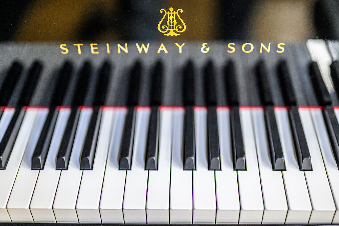 Black and white keys of a Steinway & Sons piano in sharp focus.