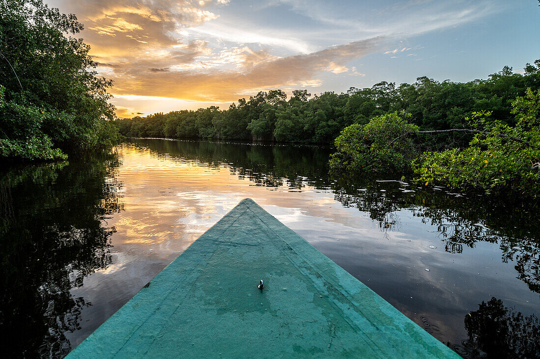 Fluss, der durch einen Sumpf fließt: Caroni Swamp. Trinidad und Tobago