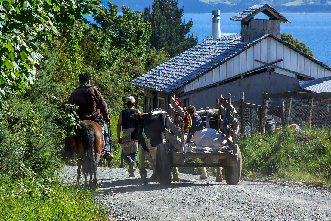 Bauern fahren mit ihrem Ochsenkarren auf einer unbefestigten Straße auf der ländlichen Insel Chiloe in der chilenischen Seenregion. Ein kleiner Junge fährt auf dem Ochsenkarren mit.