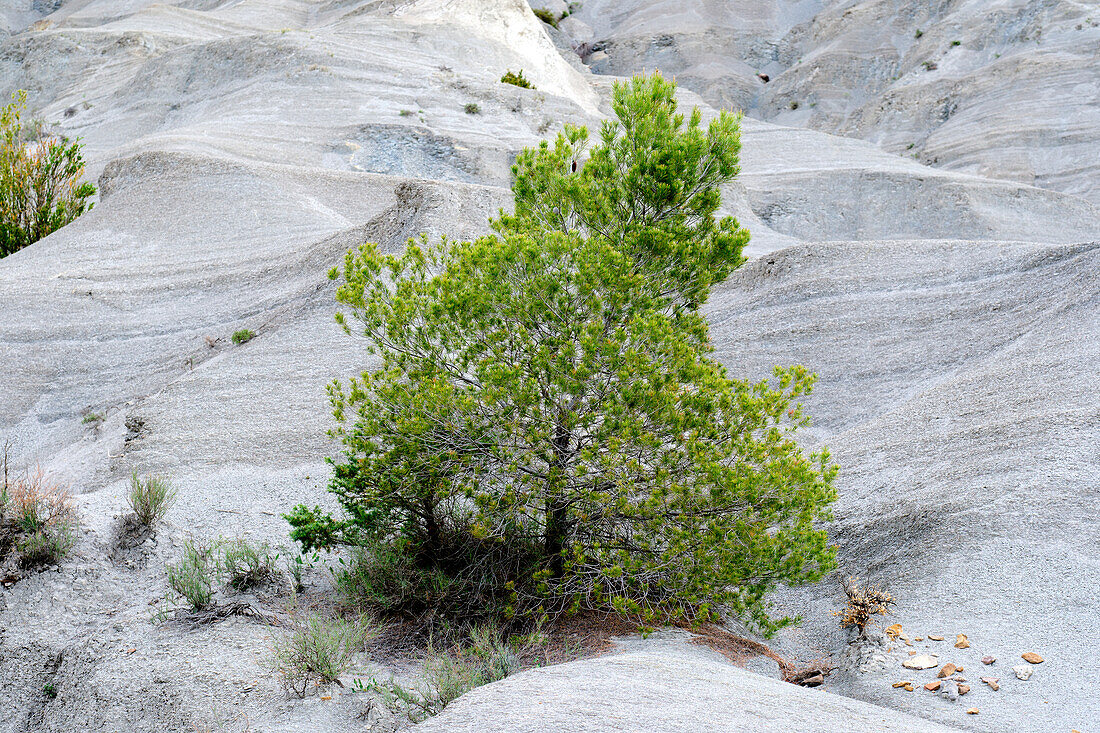 Arid and stony craggy zone with little poor vegetation. Yesa reservoir. Aragon, Spain, Europe.