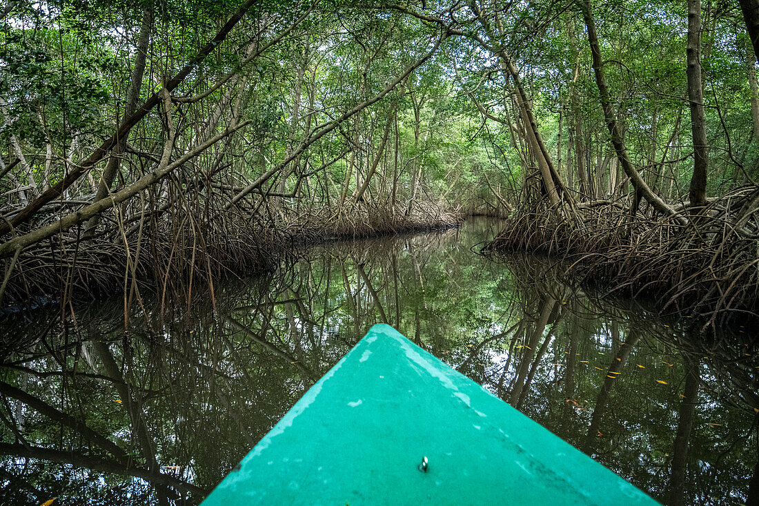 Fluss, der durch einen Sumpf fließt: Caroni Swamp. Trinidad und Tobago