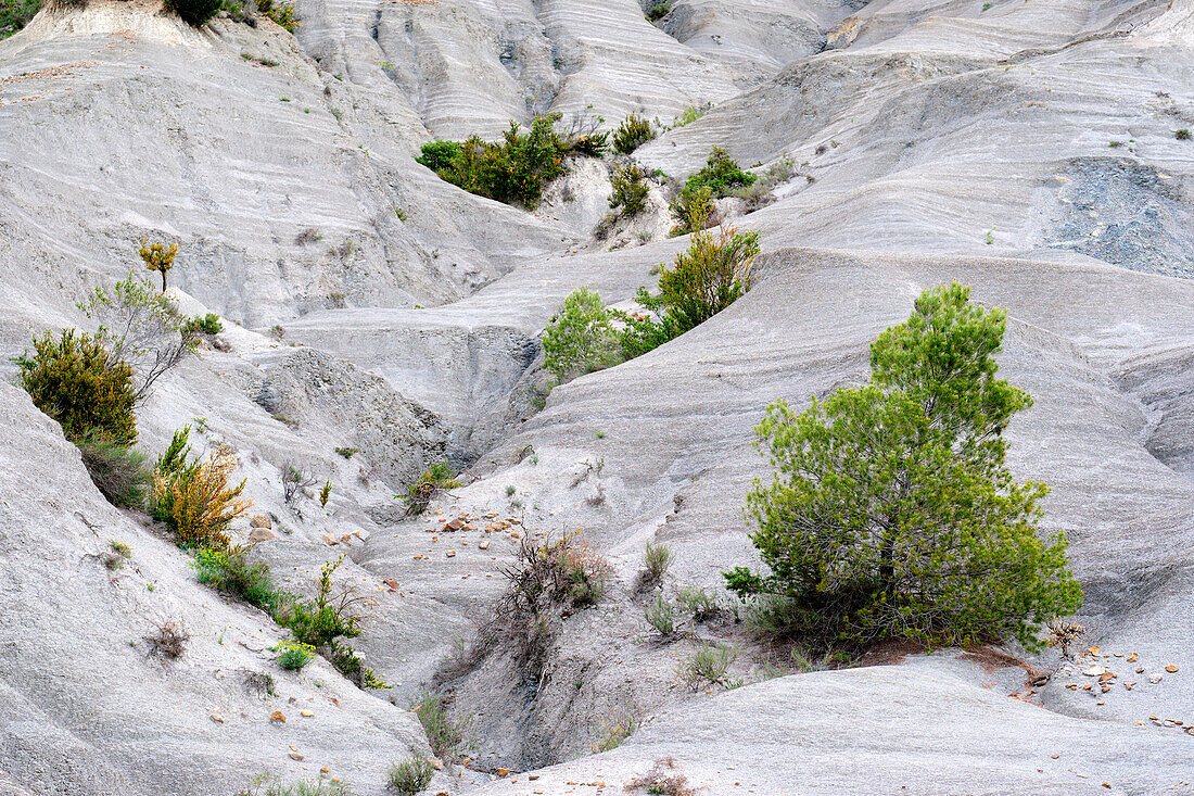 Arid and stony craggy zone with little poor vegetation. Yesa reservoir. Aragon, Spain, Europe.