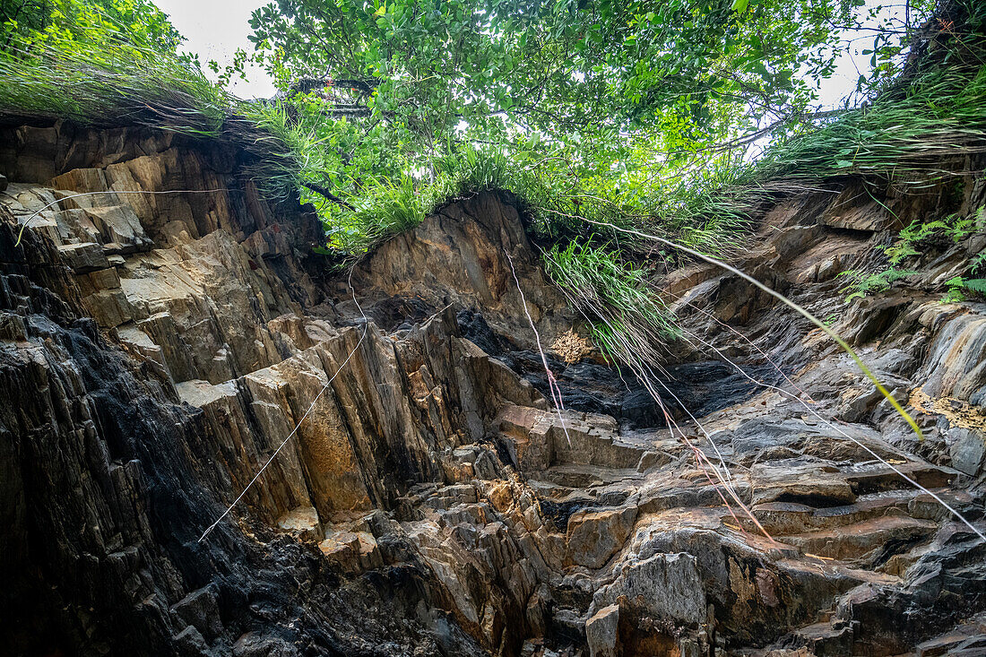 Trinidad Las Cuevas