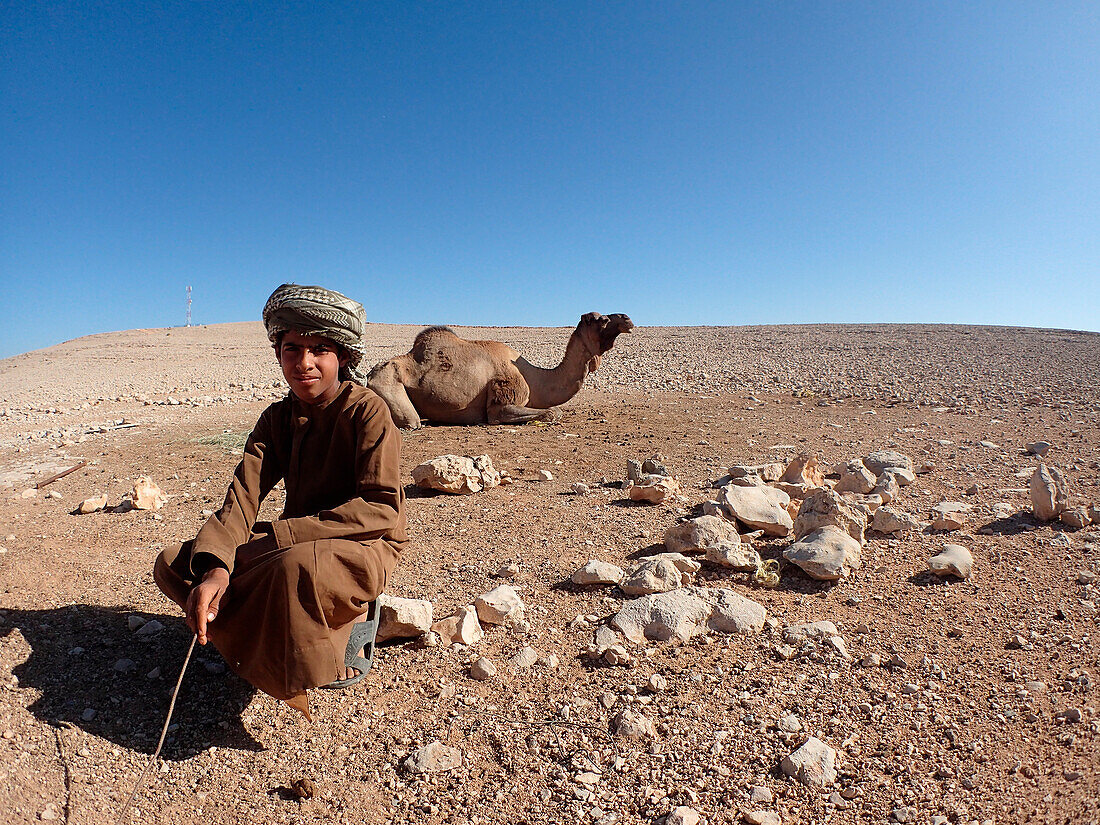 Oman,Ash Charqiya region,a young bedouin wearing traditional clothes,dishdasha and turban,poses in the middle of a very arid stony plateau in front of a lying camel